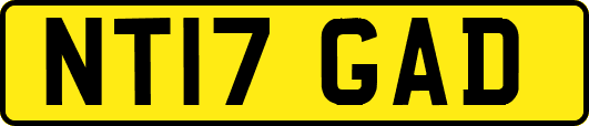 NT17GAD
