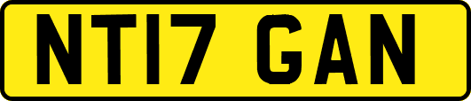 NT17GAN