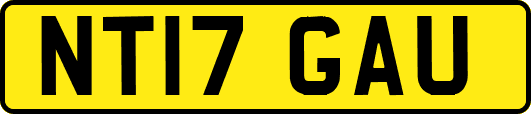 NT17GAU