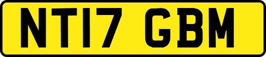 NT17GBM