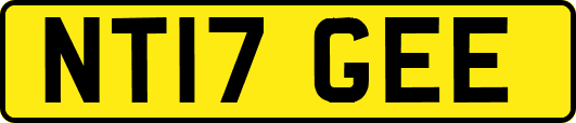 NT17GEE
