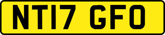 NT17GFO