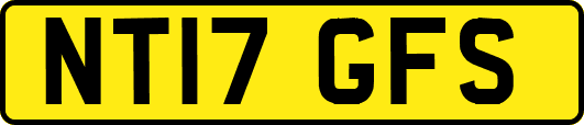 NT17GFS