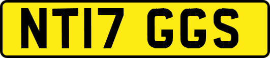 NT17GGS
