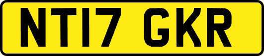 NT17GKR
