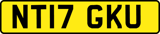 NT17GKU