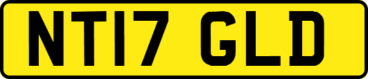 NT17GLD