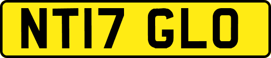 NT17GLO
