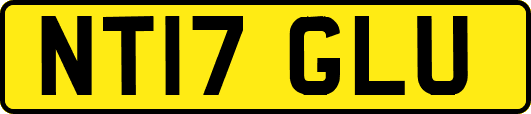 NT17GLU