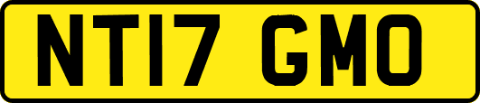 NT17GMO
