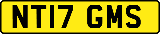 NT17GMS