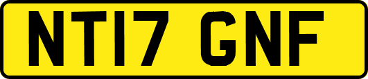 NT17GNF