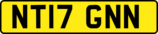 NT17GNN