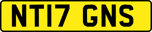 NT17GNS