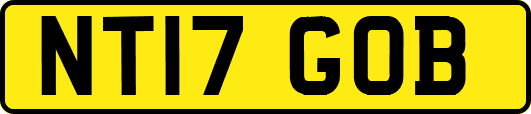 NT17GOB