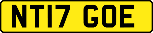 NT17GOE