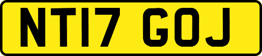 NT17GOJ