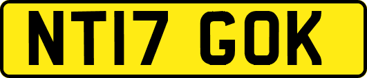 NT17GOK