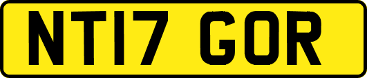 NT17GOR