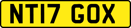 NT17GOX