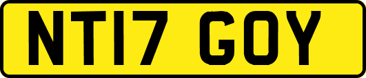 NT17GOY