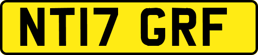 NT17GRF