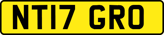 NT17GRO