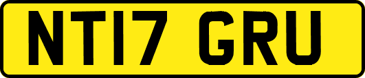 NT17GRU