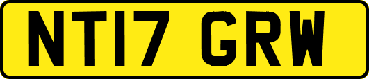 NT17GRW