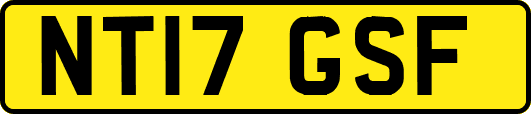 NT17GSF
