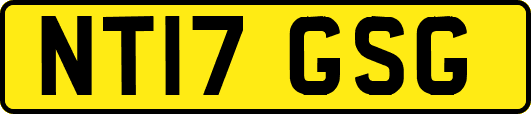 NT17GSG