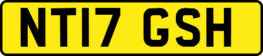 NT17GSH