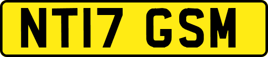 NT17GSM