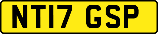 NT17GSP