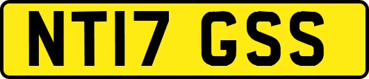 NT17GSS