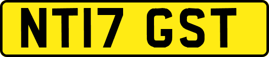 NT17GST