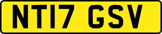 NT17GSV