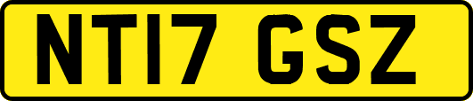 NT17GSZ