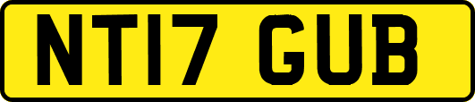 NT17GUB