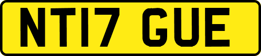 NT17GUE