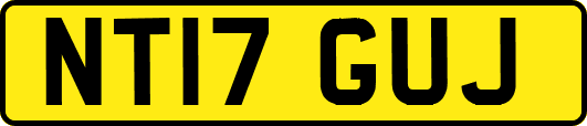 NT17GUJ
