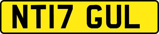 NT17GUL