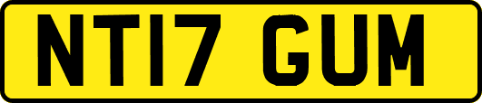 NT17GUM