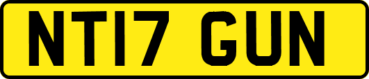 NT17GUN