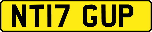 NT17GUP