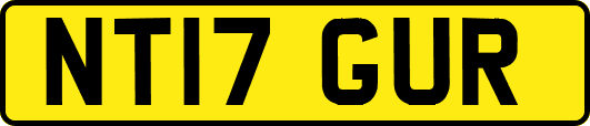 NT17GUR