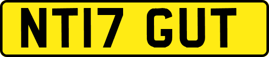 NT17GUT