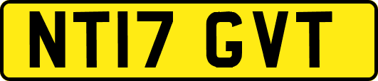NT17GVT