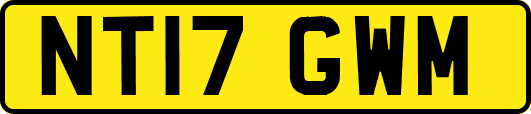 NT17GWM
