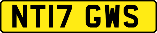 NT17GWS